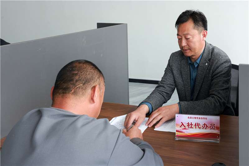 河北定兴：支领办合作社 激活乡村振兴 “一池春水”