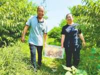 土地“活”起来产业“兴”起来村民“笑”起来