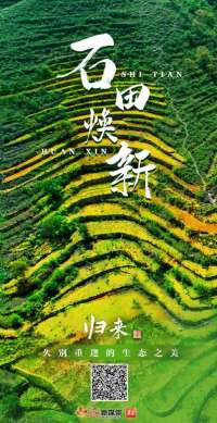 归来·久别重逢的生态之美⑦｜“石田”焕新