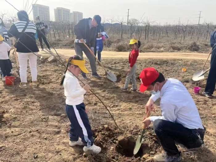 石家庄桥西区：直机关第八幼儿园开展植树节主题活动