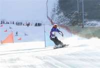 河北第四届冰雪运动会闭幕 廊坊市代表团获一金两铜