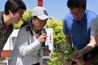 秦皇岛市戴河镇车站村举办“植物医生乡土课堂”活动