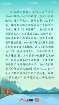 白洋淀里鸟蹁跹⑤丨淀上小精灵的幸福生活