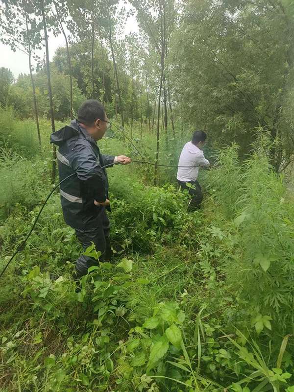 秦皇岛移动：全力以赴保障通信网络“生命线”畅通