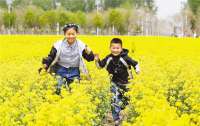 固安：千亩油菜花引客来
