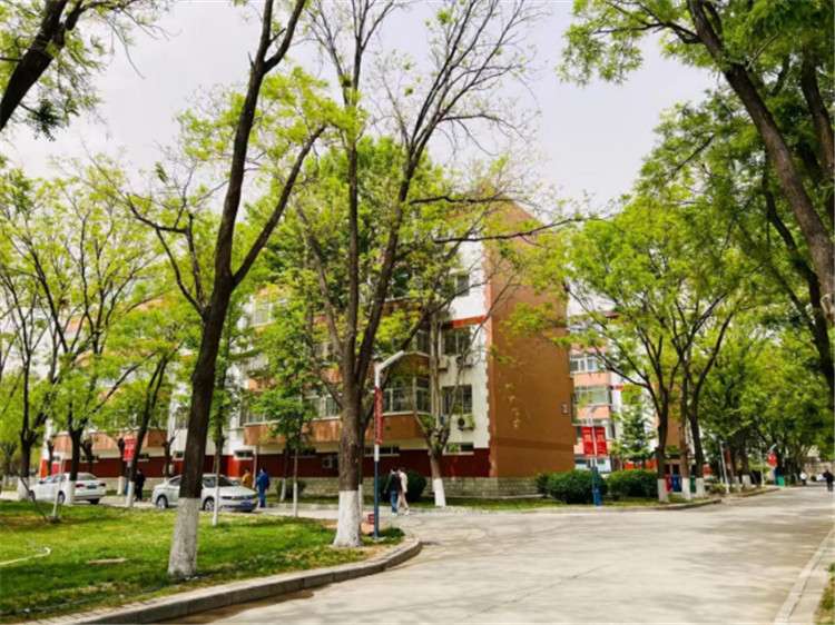 廊坊：老旧小区“逆生长” 面子里子齐提升
