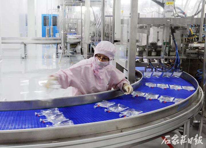 喜讯！石家庄四药获评级制造业单项冠军称号